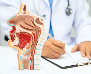ENT (Ear, Nose & Throat)