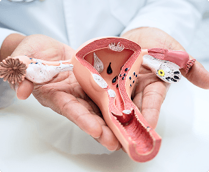Obstetrics & Gynecology